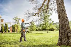 Best Tree Health Inspection  in Clearlake Oaks, CA