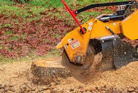 Best Tree Preservation Services  in Clearlake Oaks, CA